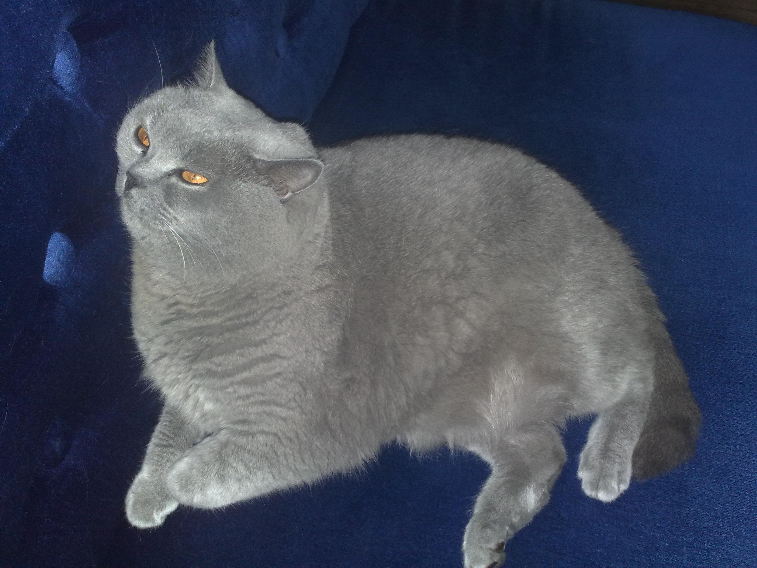 Prof 30 sec audio commercial (script + voiceover + music of your choice)