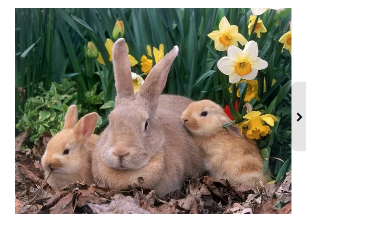 write and guest post at pr 3 Pets related blog