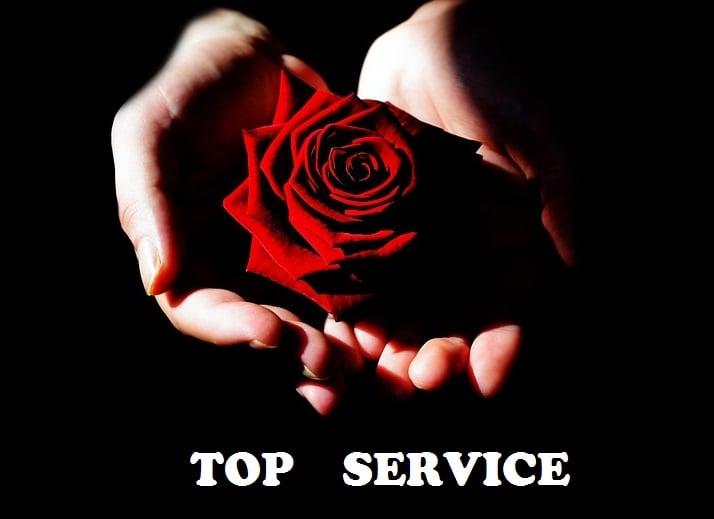 send 6666 human ORGANIC Germany Google Analytic visits   Traffic