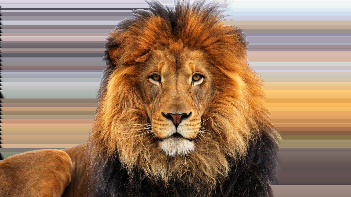 I will remove backround of 10 images profesionnaly BUY 1 GET 1 FREE!