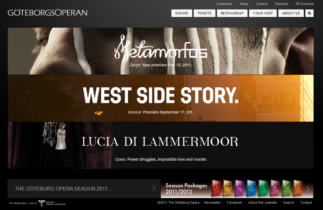 Make Professional Website To Grow Up Your Business.