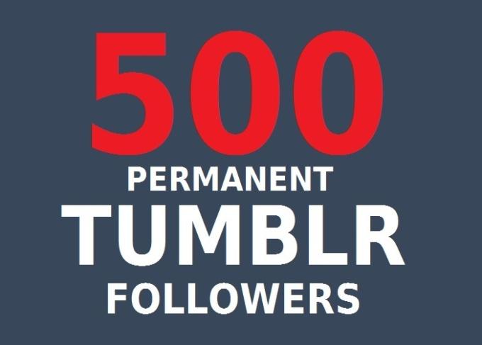  add 500 Permanent Tumblr Followers