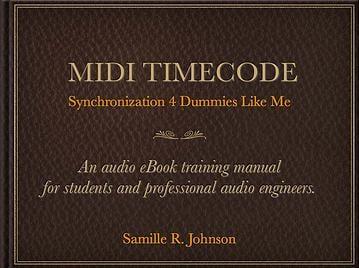 Provide Pro Audio Services Just For You