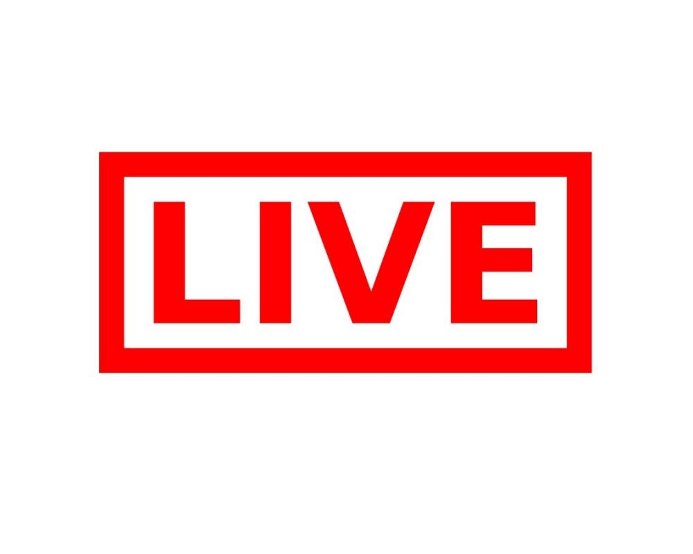 Professional SEO work 1 day!