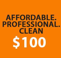 COMPLETE PROFESSIONAL WEBSITE DESIGN PACKAGE + Mobile + SEO