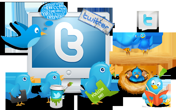 Get You 20,000+ Twitter Followers Within 12 To 24-Hours