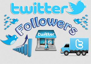 Get You 20,000+ Twitter Followers Within 12 To 24-Hours