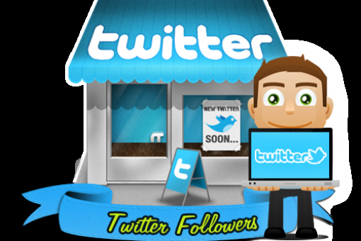 Get You 20,000+ Twitter Followers Within 12 To 24-Hours