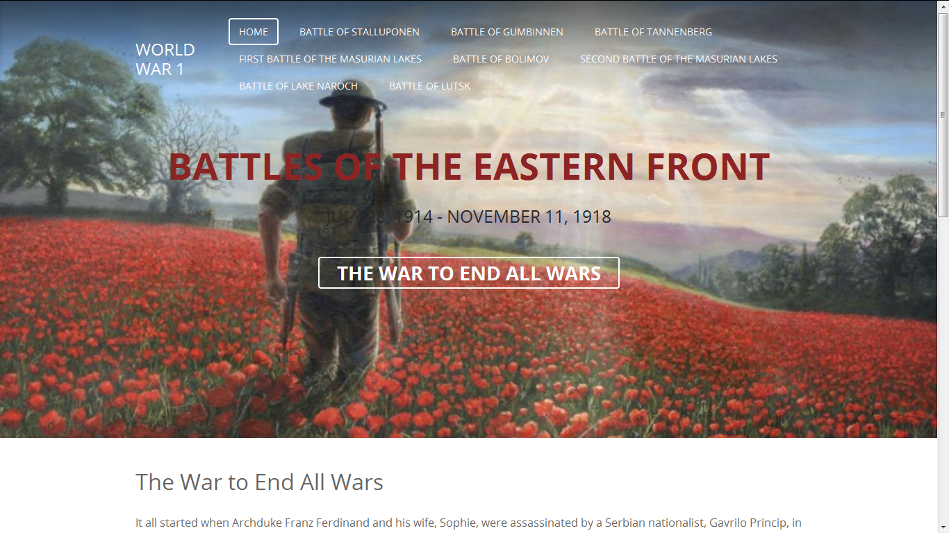 Unique Websites designed for you!