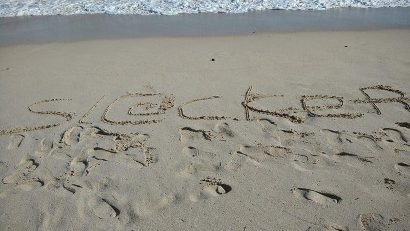 Web Designer Profesional