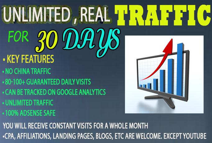 I will drive real Unlimited Website TRAFFIC to your website for 30 days