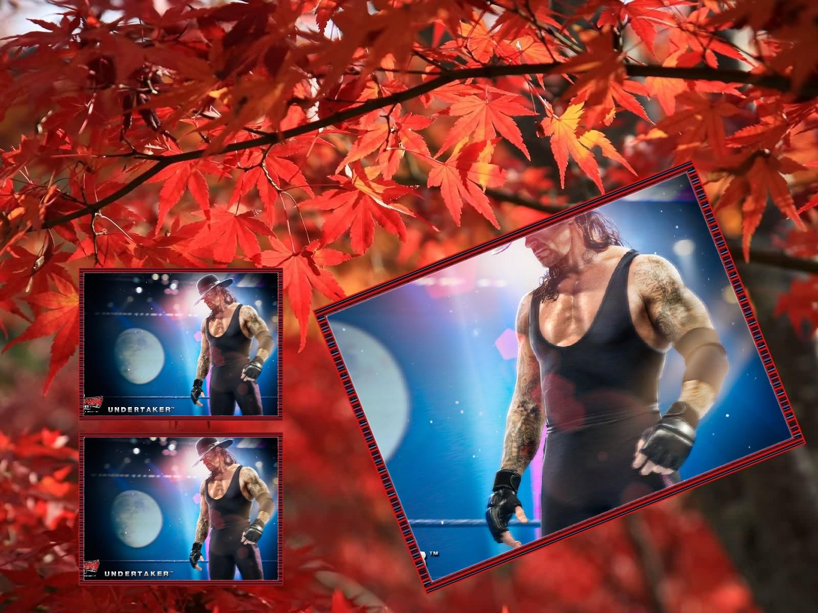 I will make 70 billboard of your a logo,image