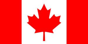 10000+ canada Low bounce rate targeted website traffic 