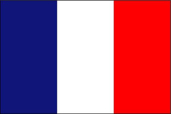 10000+ france Low bounce rate targeted website traffic for