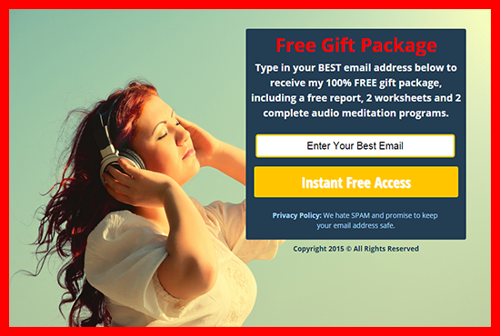 i will design a profissional  landing page or squeeze page