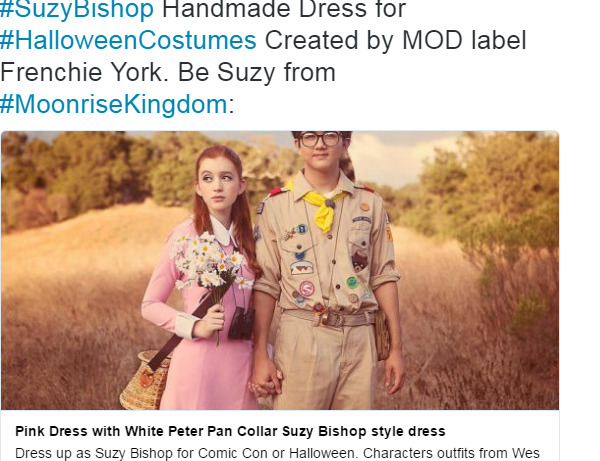 I will promote your ebay, etsy, ecommerce store