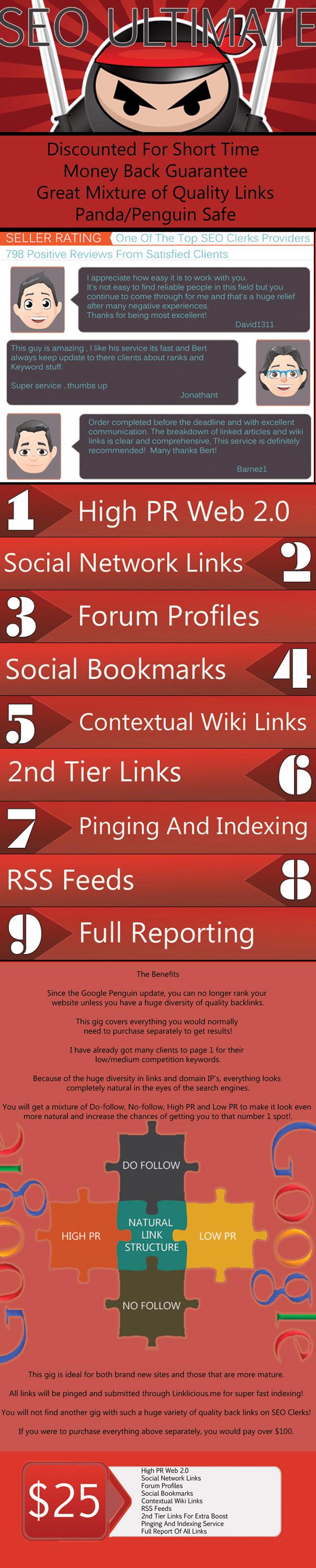 TOP 1 GOOGLE RANKING PRO PACKAGE 