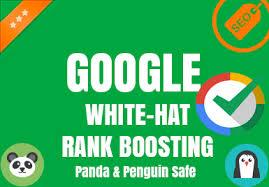 shoot your site into top google ranking with 21,000 PR10 and PR9 organic social signals package 