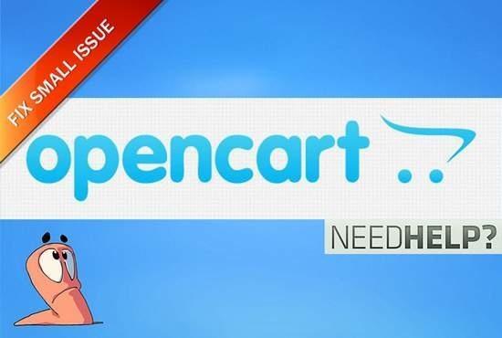 I will fix OpenCart Bugs, Errors or Issues for
