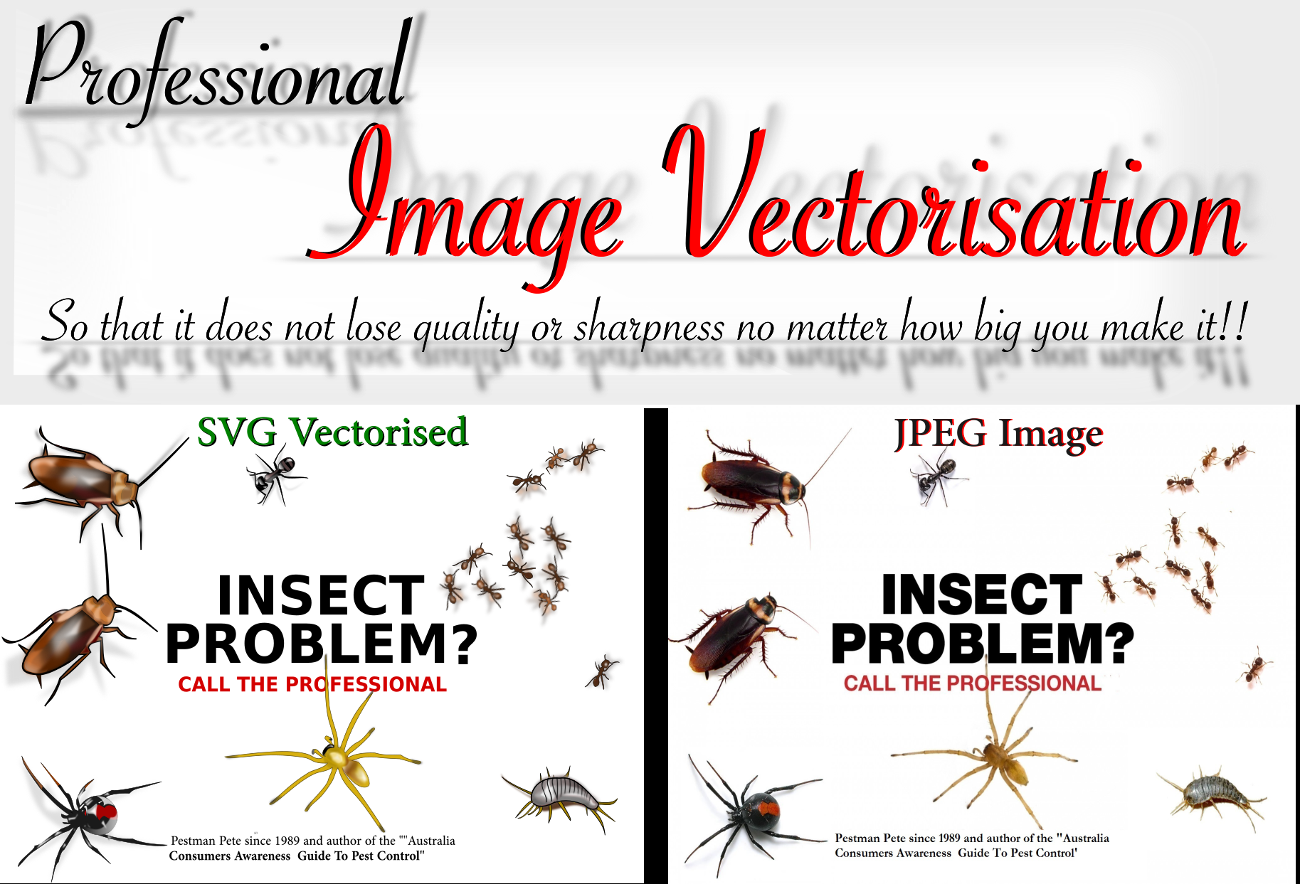 I will Professionally Vectorise your Complex Image