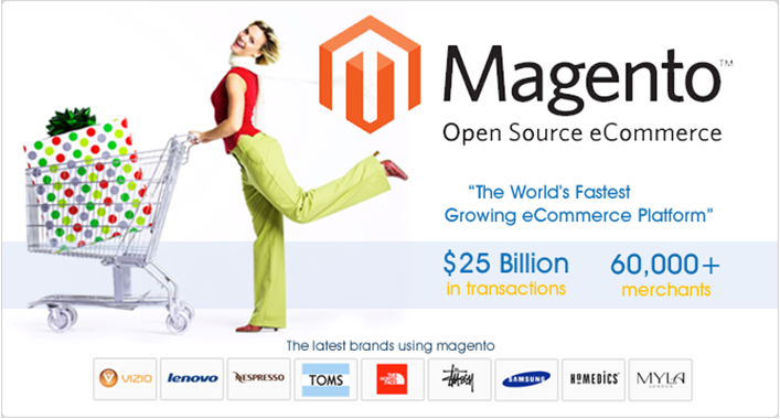 I will upload 1000 products to your magento store with images and informations