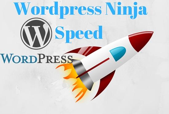 Get your wordpress Site like Rocket. 
