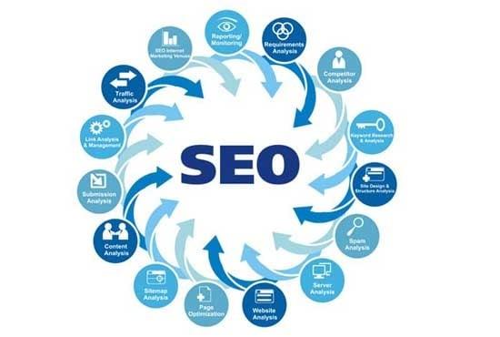 I provide complete analysis of website