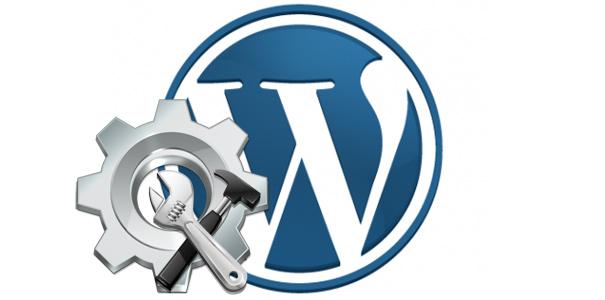 Fix anything in Wordpress professionally