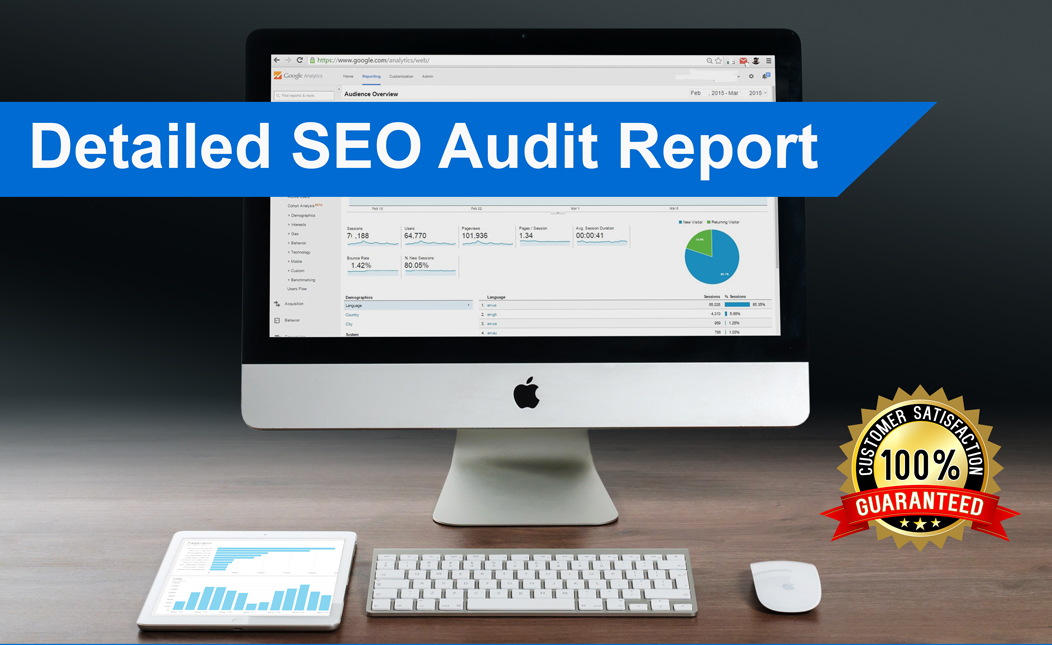 I provide you Details SEO Audit Report and Action plan for your business