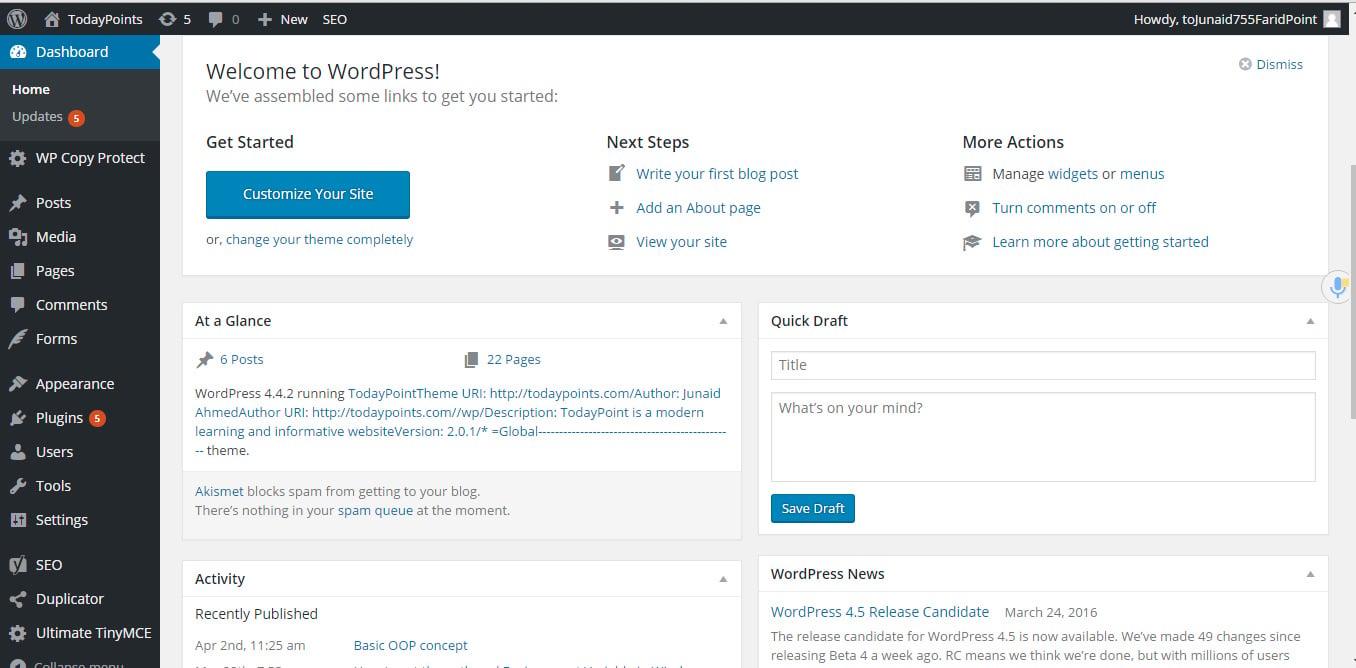 I can install and setup your wordpress website and theme
