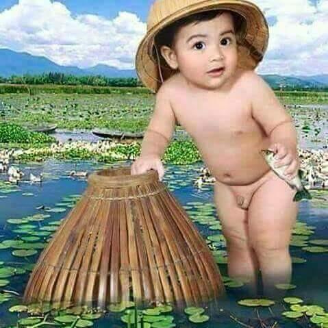  Get photoshop 100 image resize or background remove