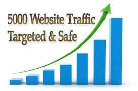 Express 5000 Targeted Website Visitors Traffic in 24 Hours