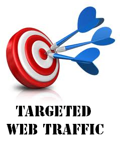 20000 REAL ORGANIC Targeted Adult Website Visitors Traffic