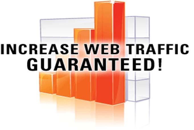 Express 15000 Website Visitors Traffic in 24 Hours