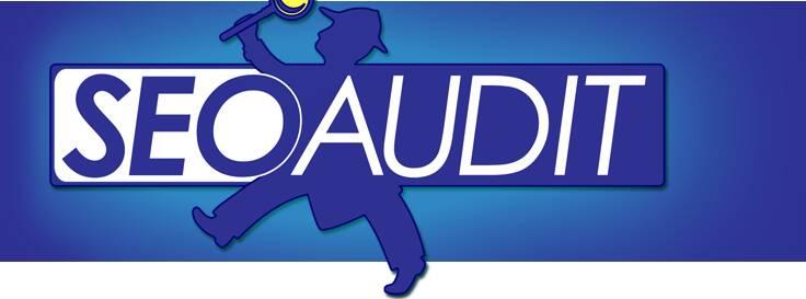 Provide expert SEO Report Plan, Competitor Analysis and Audit.