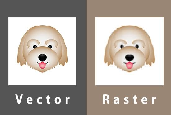Redraw logo and image in vector format with HD quality 