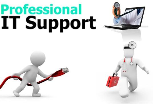 I will do REMOTE computer repair in 48 hours 