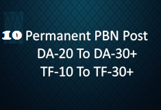 10 High Authority PBN Guest Posts with Content Writing
