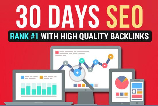 Sky rank your Website in 30 day 