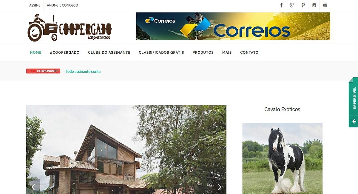 Professional responsive website