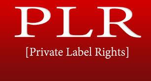 4 million PLR article in various nich with MRR