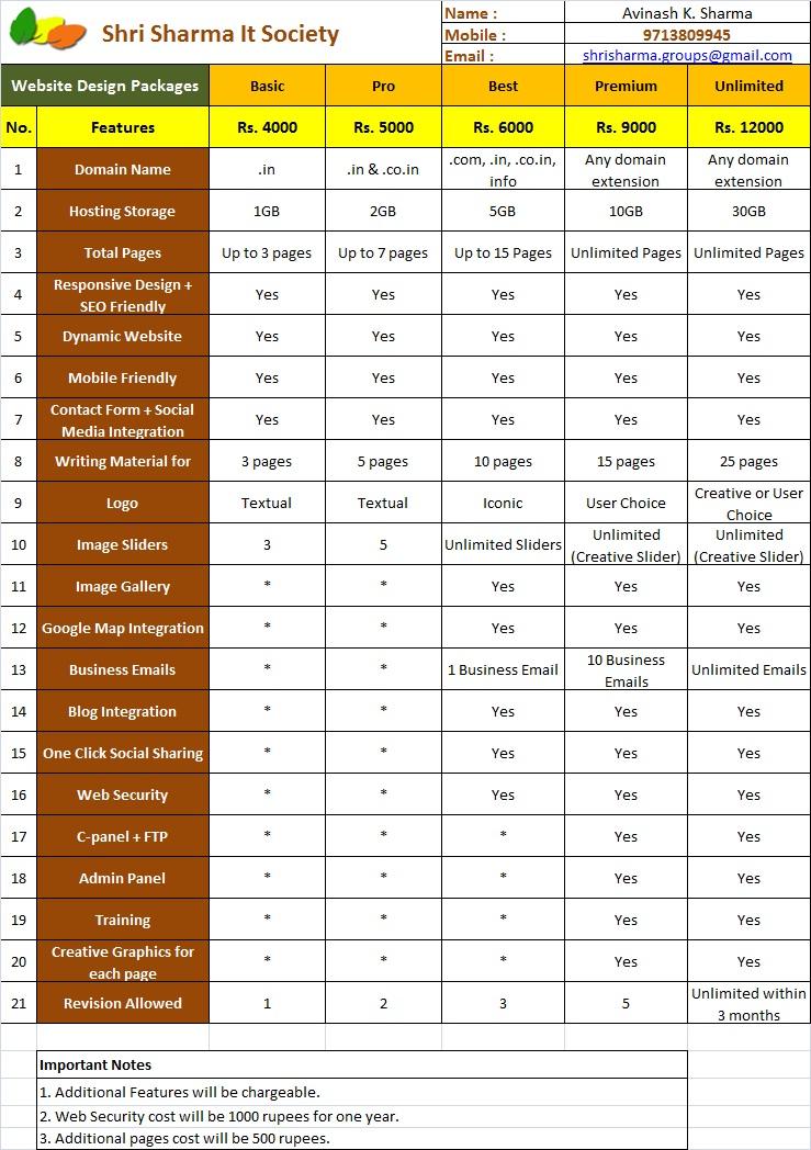 Professional web designer