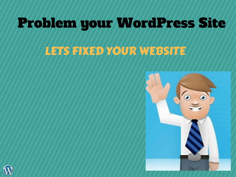 fixed wordpress problem within 24 hours