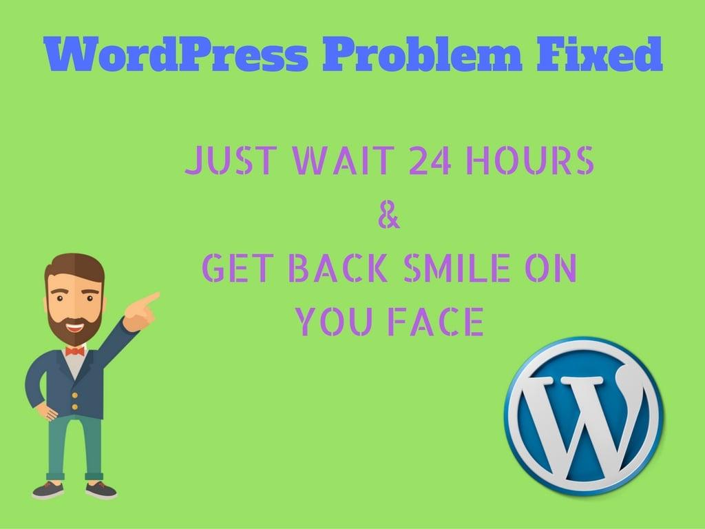 fixed wordpress problem within 24 hours