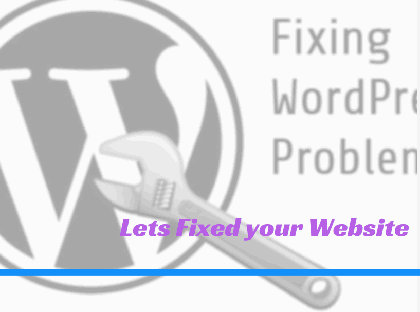 fixed wordpress problem within 24 hours
