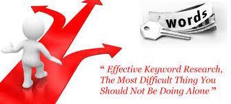 Will research 10 Responsive keywords for you according to your Niche 