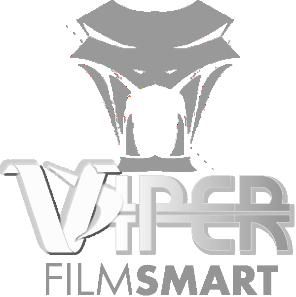 You Need a Video Intro with Logo and FAST that will WOW them.