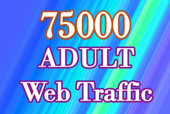 75000 Quality Targeted 18+ Web Traffic