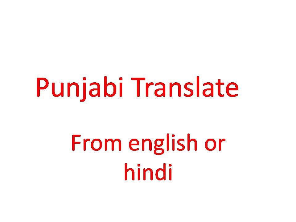 punjabi translator into punjabi language