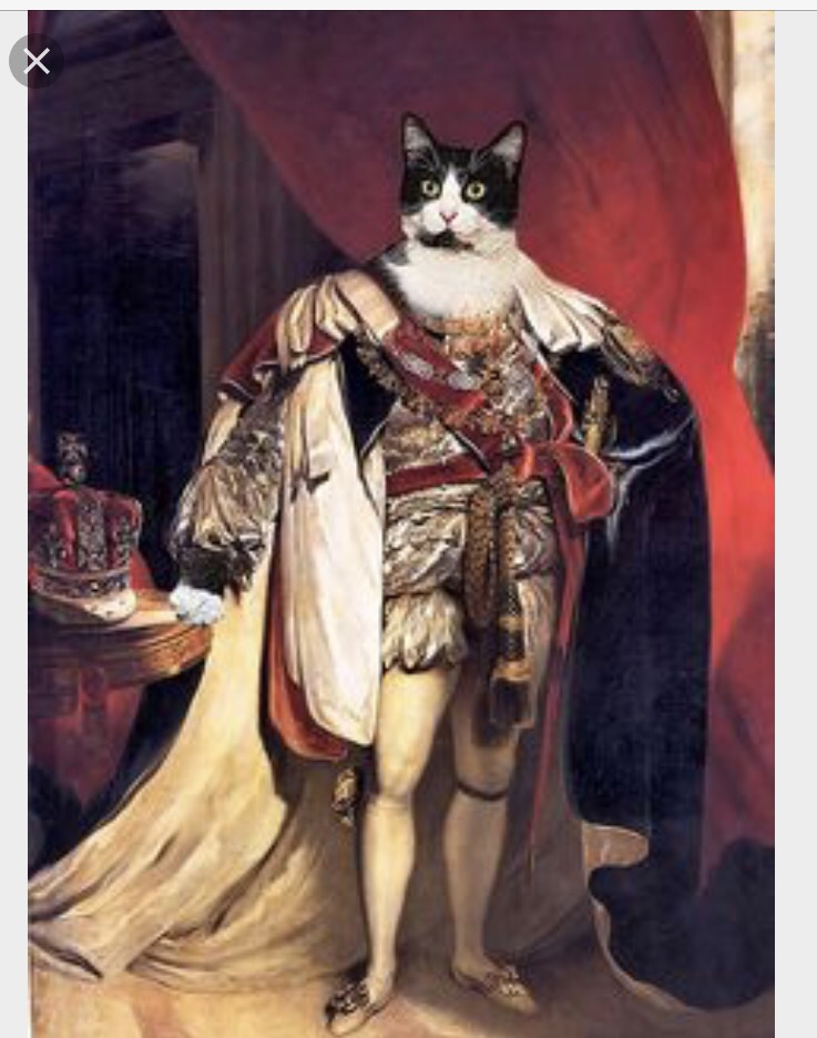 draw portrait of your pet in any clothes